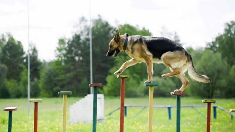 Business and Location Specific Domain Names - Get the right extensions