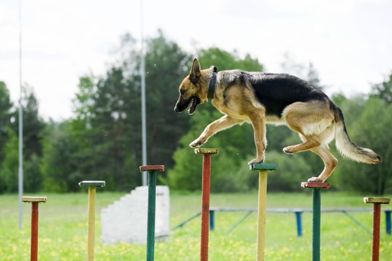 Business and Location Specific Domain Names - Get the right extensions