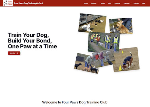 Choosing A Domain Name - Four Paws example one.