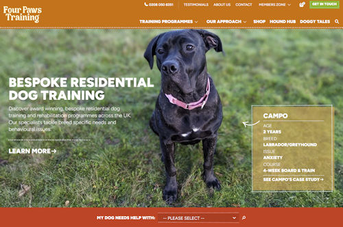 Choosing A Domain Name - Four Paws example one.